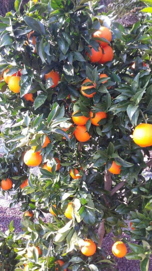 Appartamento Casa Madama Cannero Riviera Esterno foto